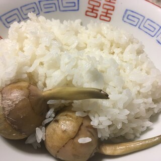 続一人暮らしのクワイ飯